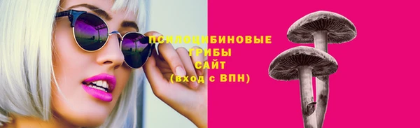 дурь Аркадак