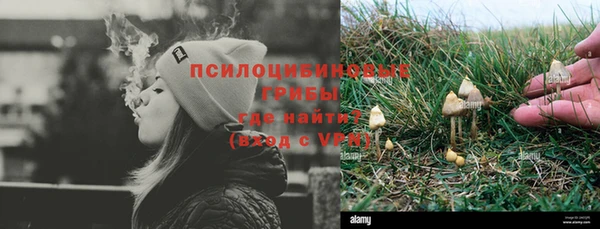 дурь Аркадак