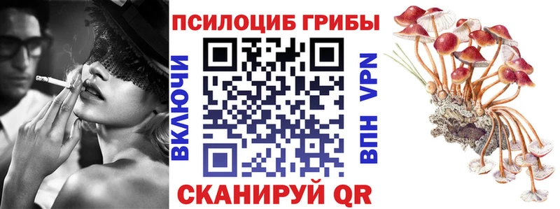Псилоцибиновые грибы GOLDEN TEACHER  Куйбышев 