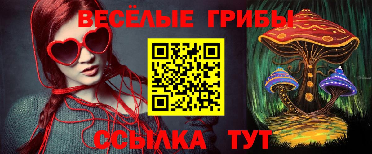 Псилоцибиновые грибы Psilocybe  Галлюциногенные грибы Psilocybine cubensis  Куйбышев  Вход с VPN 