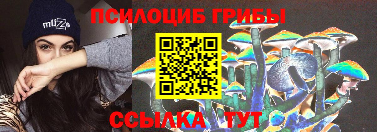 Псилоцибиновые грибы мицелий Куйбышев